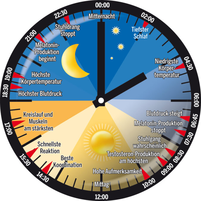 Organuhr