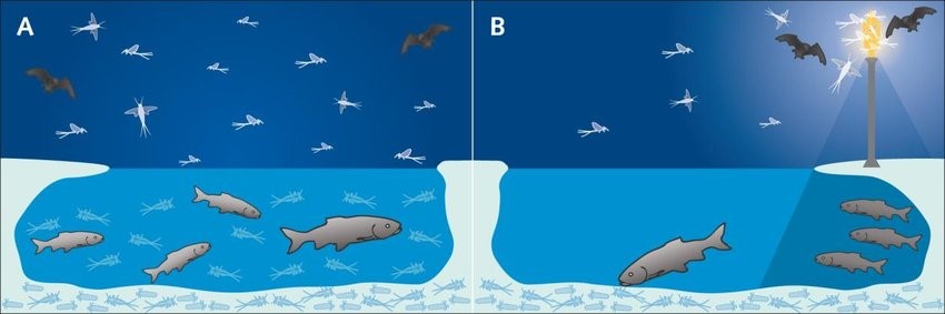 Verteilung Tiere