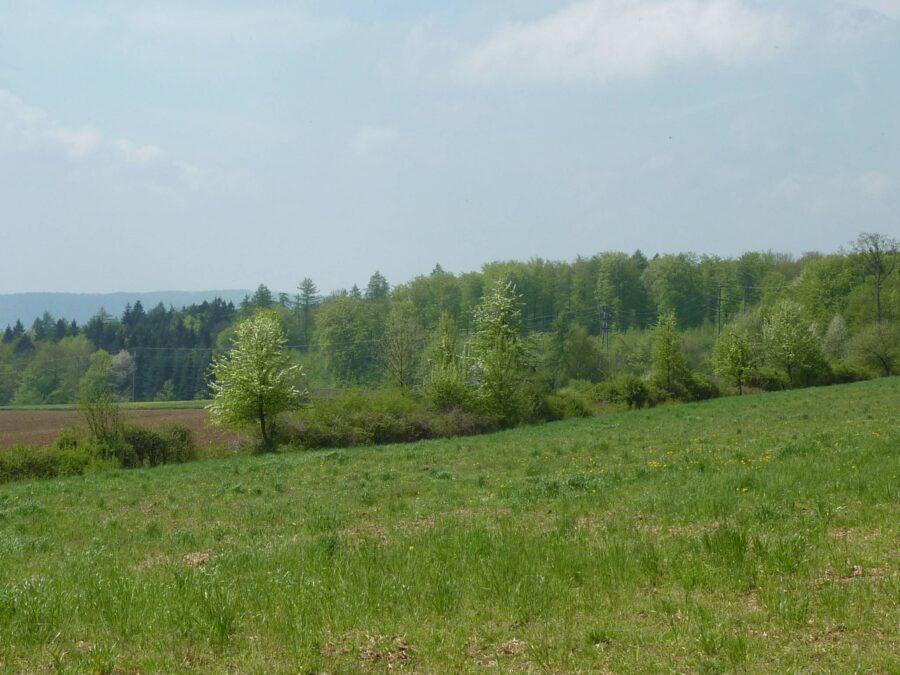 Hecke Baldegg 2048x1536 1