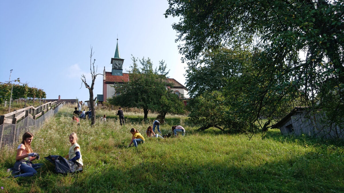 Jäten