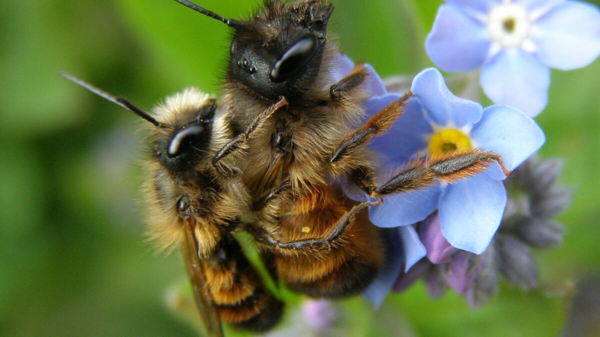 nature 3084524 19201