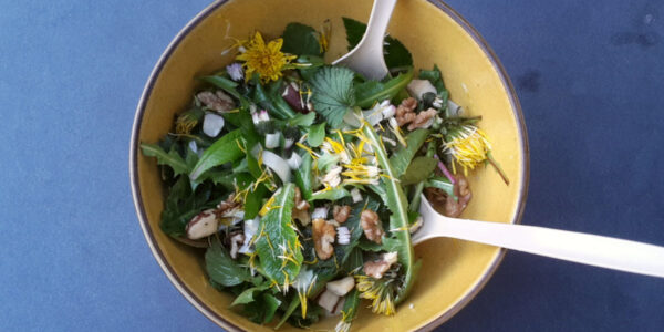 Wildkräutersalat bearbeitet