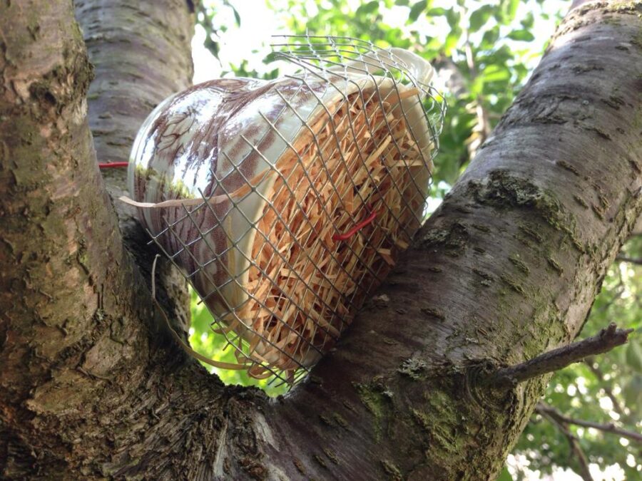 Insektenhaus Schritt 4