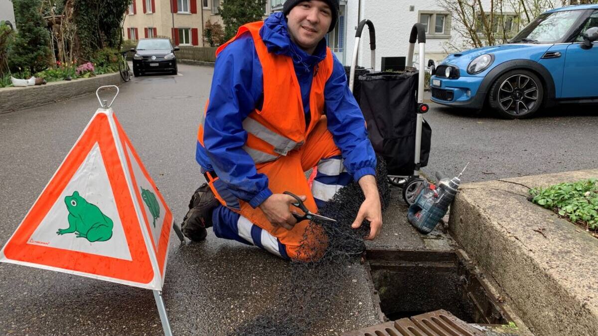 Amphibienschutz 1200x800 1