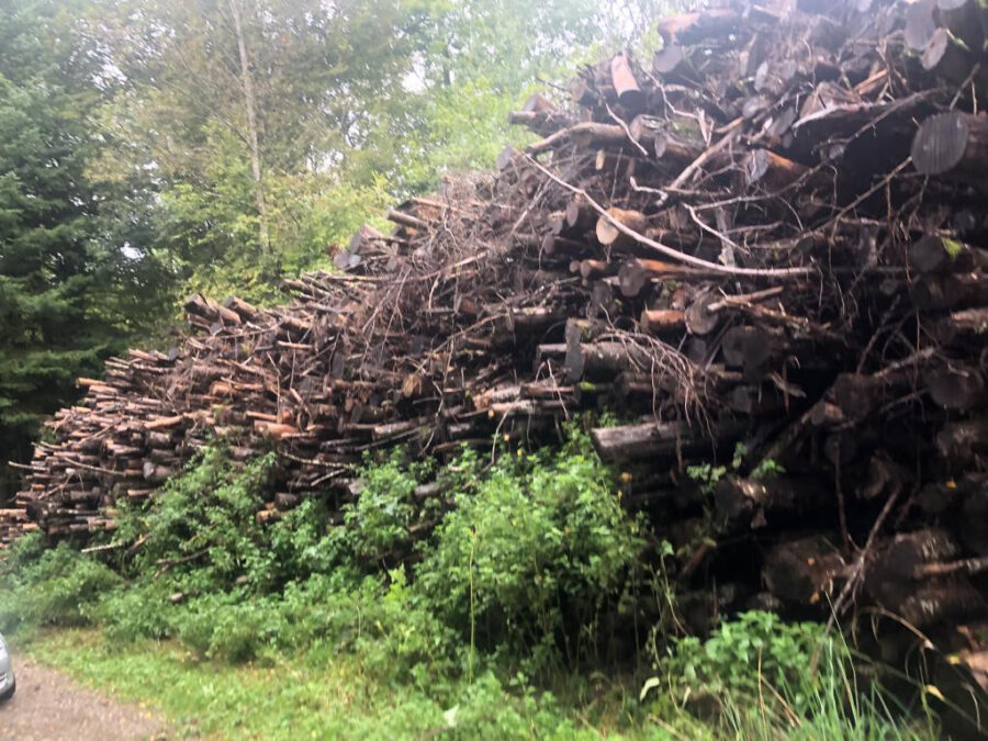 Holzlagerung_Pius1
