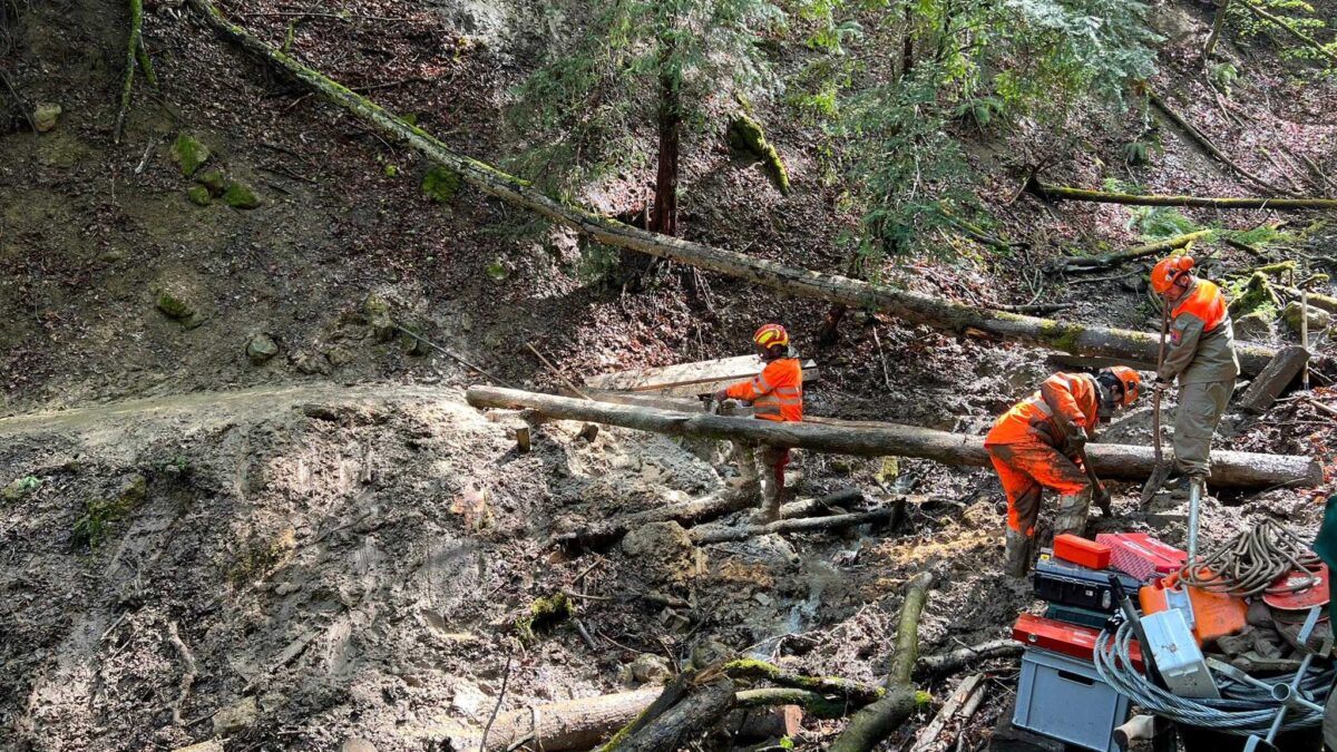 7-Brüggli-Weg – Sanierung am Unterwilerberg