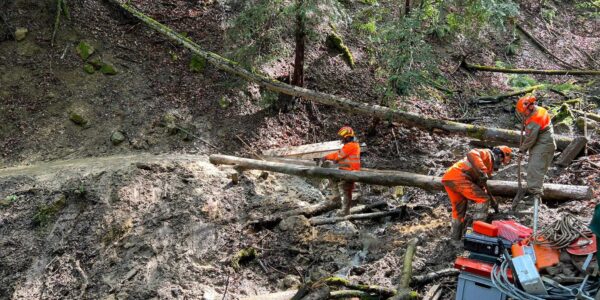 7-Brüggli-Weg – Sanierung am Unterwilerberg