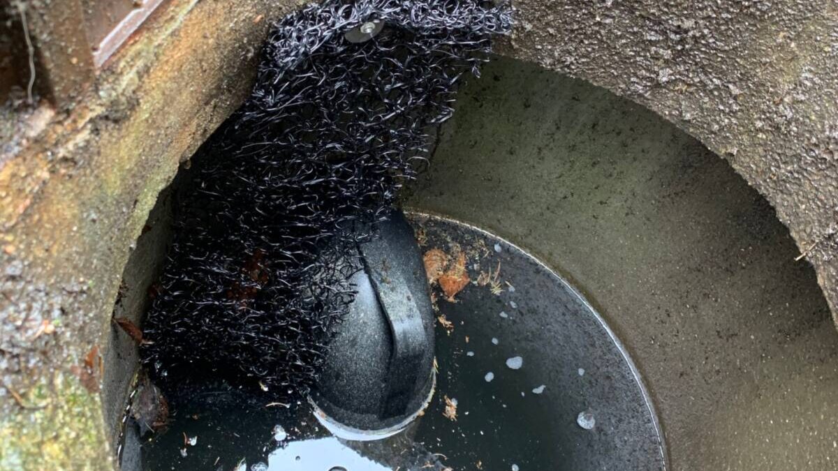 tauchbogen 1200x800 1