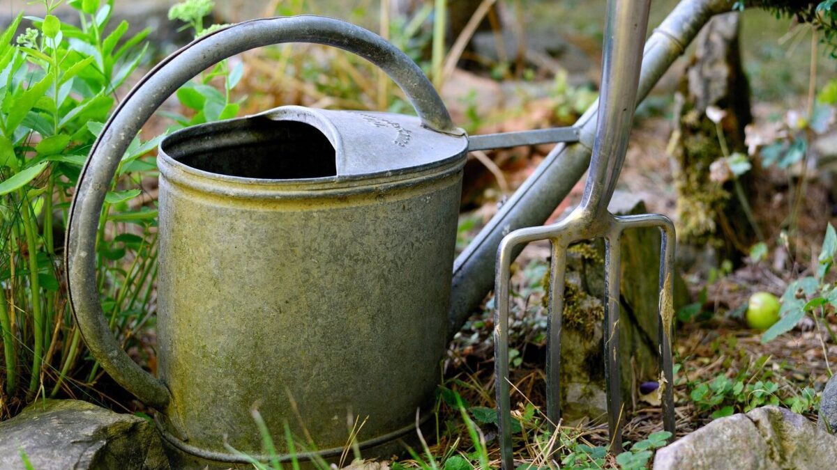 Giesskanne im Garten 1 e1649411995835