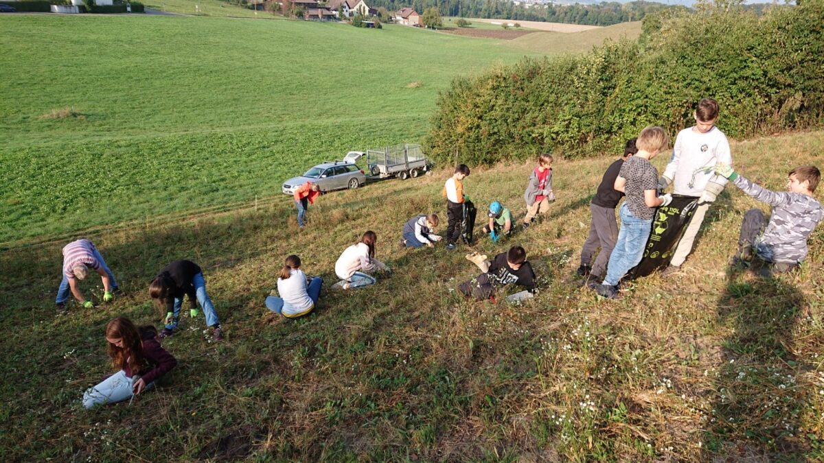 Arbeitseinsatz