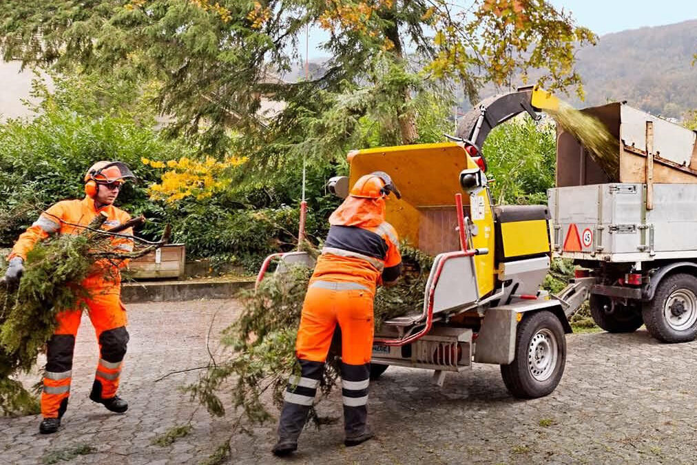 Foto Häckseln1 e1568994430778