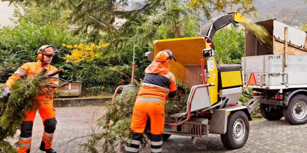 Gratis-Häckselservice in Baden