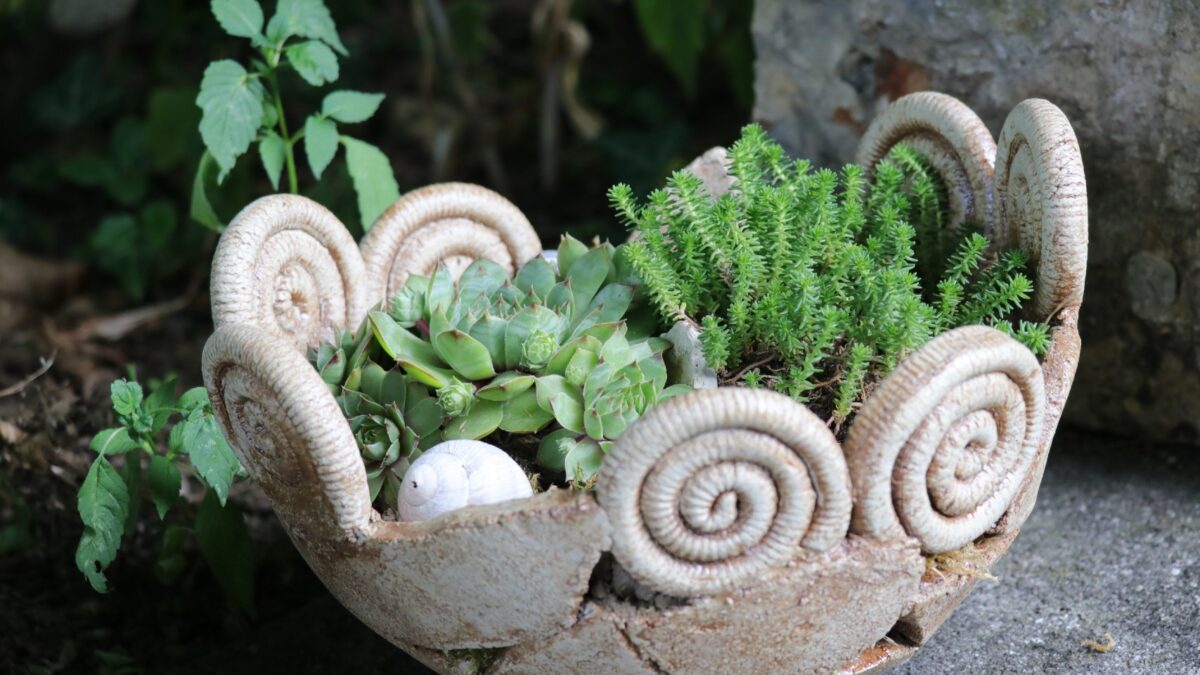 Kathrin Hartmann 3IMG web