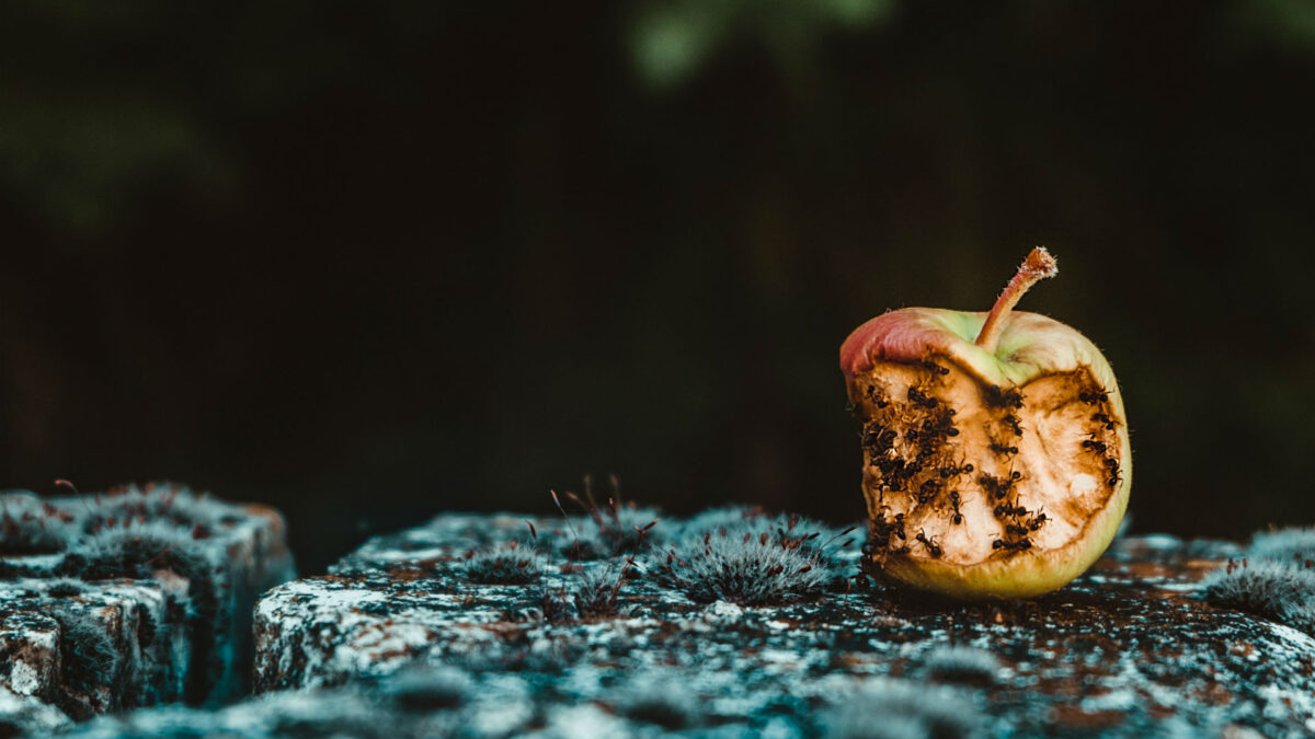 Photo by Maria Teneva on Unsplash 1 1