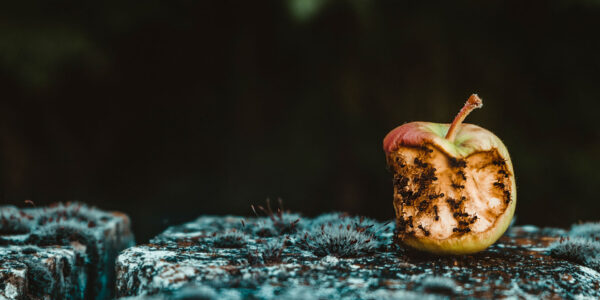 Photo by Maria Teneva on Unsplash 1 1
