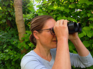 Stunde der Gartenvögel