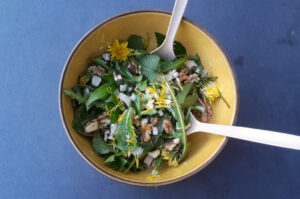 Wildkräutersalat bearbeitet