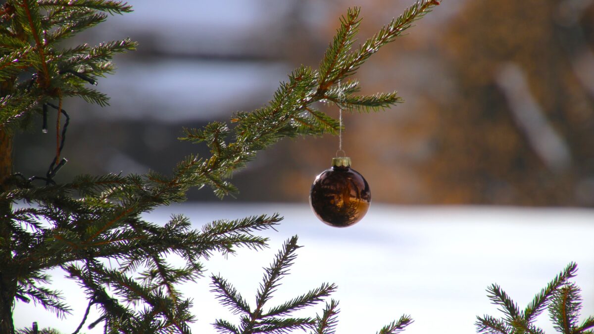 WeihnachtsbaumOnlineMeldung