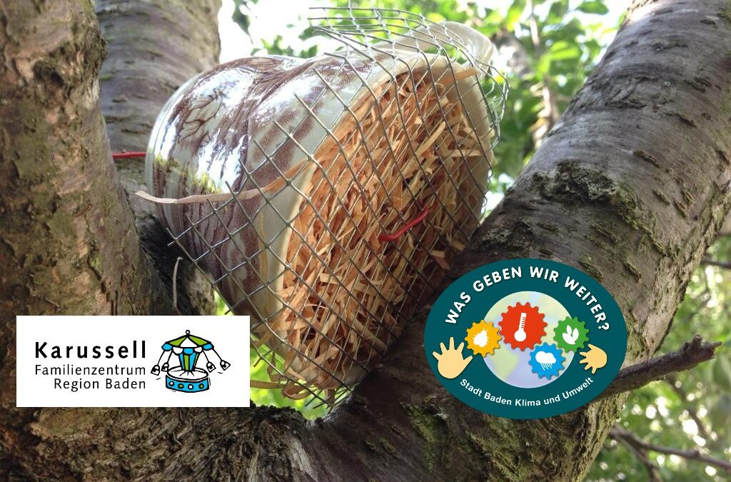 Insektenhaus Ohrwurm