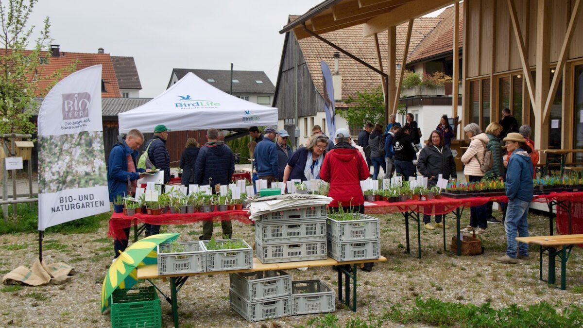 220423 Markt75 Sabine Merki