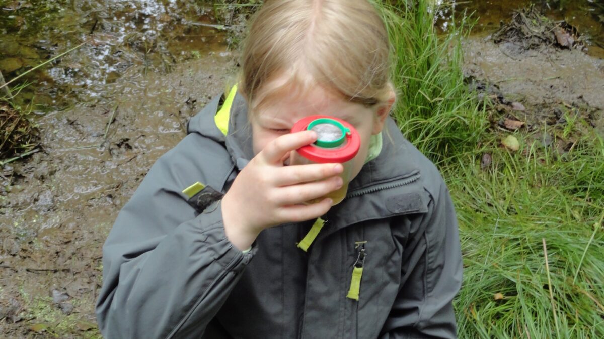 Genau hinschauen bringts