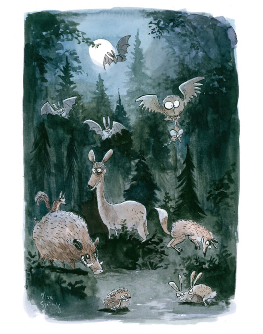 Bild10
