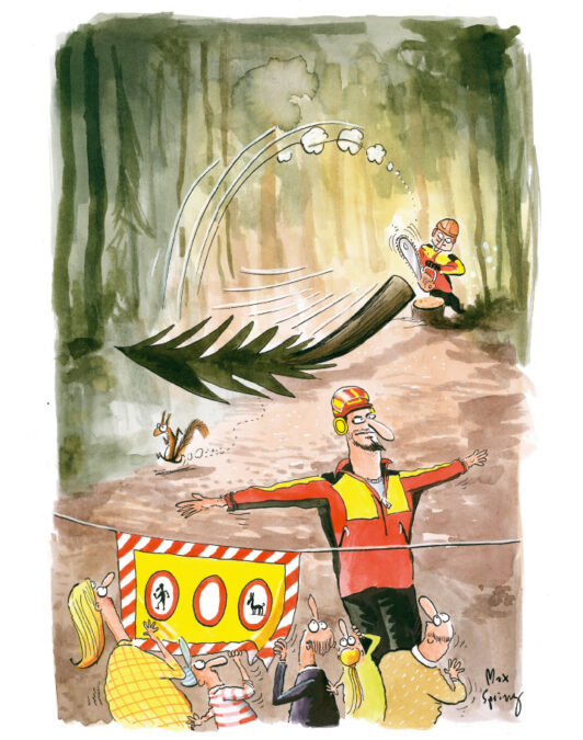 Bild6 1