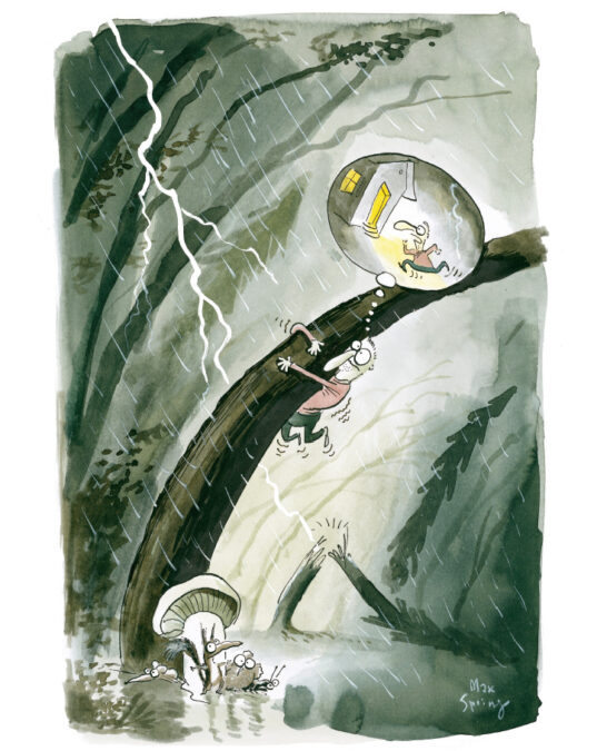 Bild7 1
