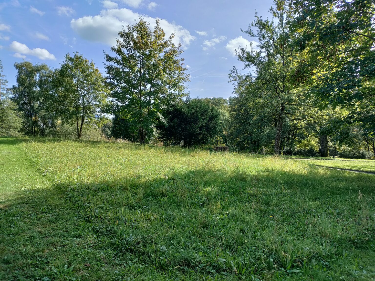 IMG 20231004 134634