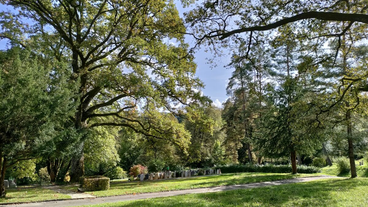 IMG 20231004 144052