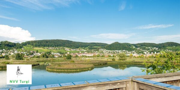 NVVT: Winterspaziergang am Klingnauer Stausee