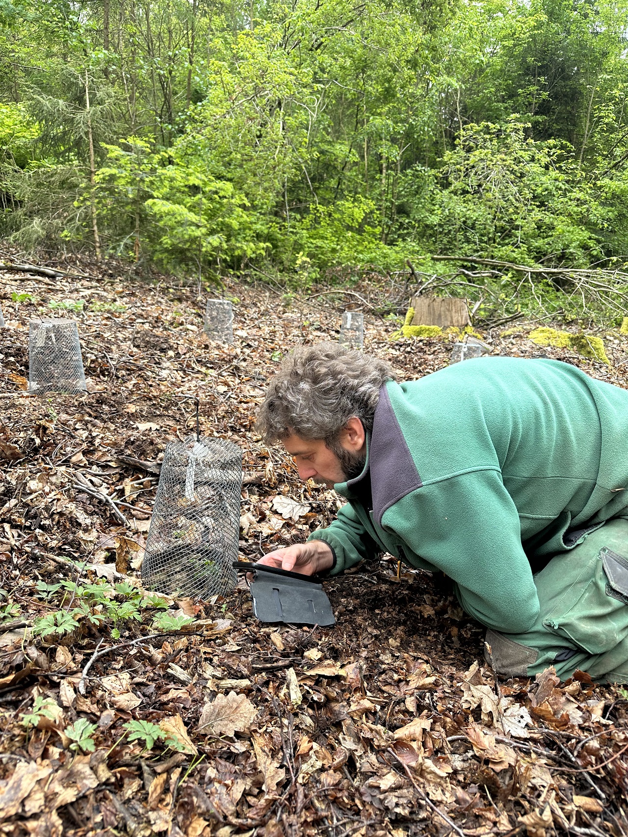 Erfassung Daten klein