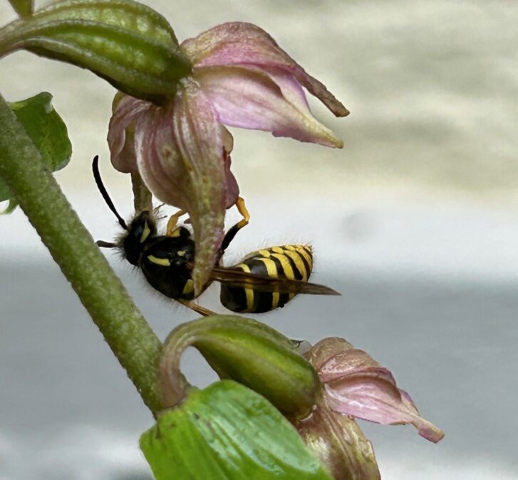 2024 Trafoplatz Peter Bürki 1