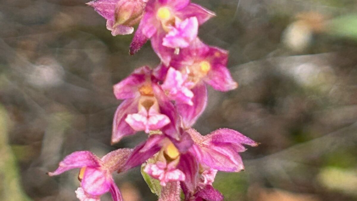 2024 Trafoplatz Peter Bürki 11