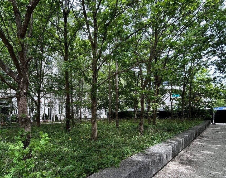 2024 Trafoplatz Peter Bürki 7