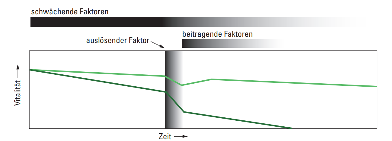 Etzold Faktoren Mortalität