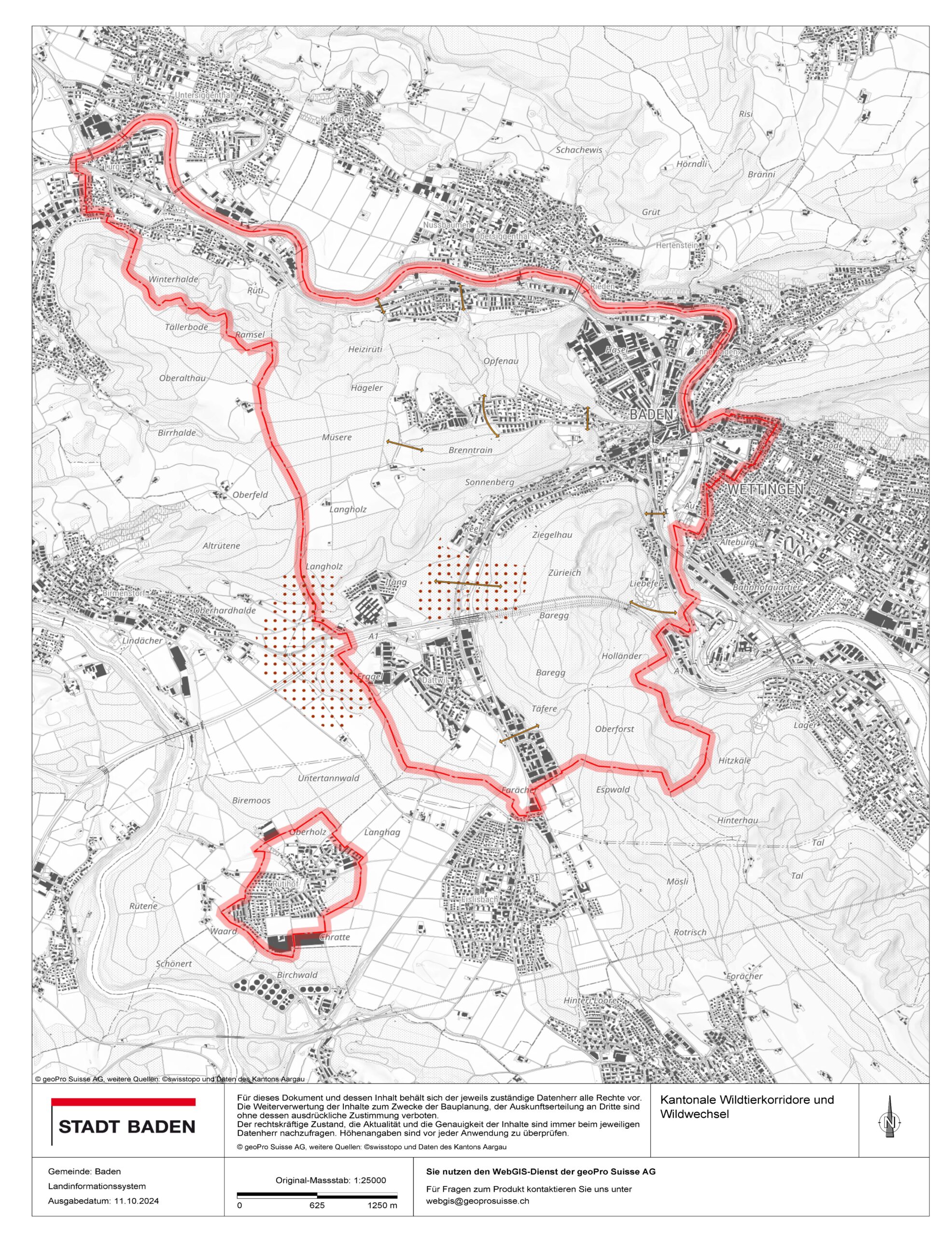 baden kyiafue 1728633199 (1)