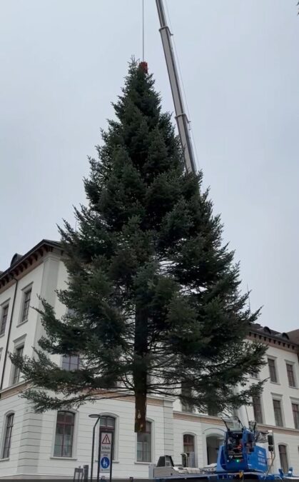 Weihnachtsbaum in der Luft