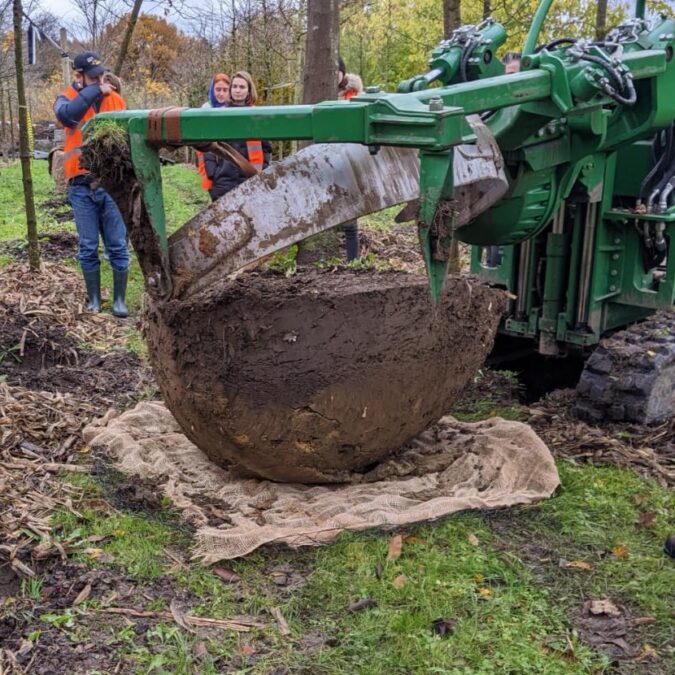 Quelle Wittmann Michelle 1a