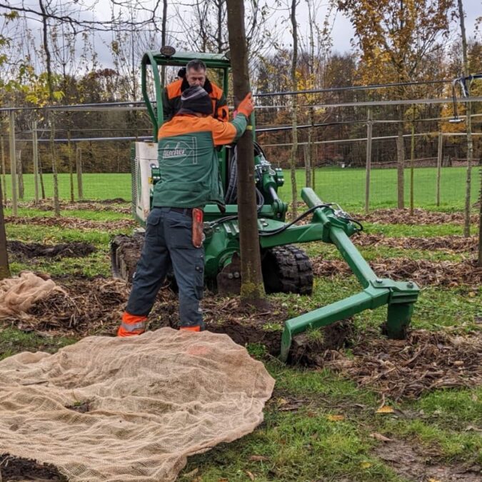 Quelle Wittmann Michelle 2a