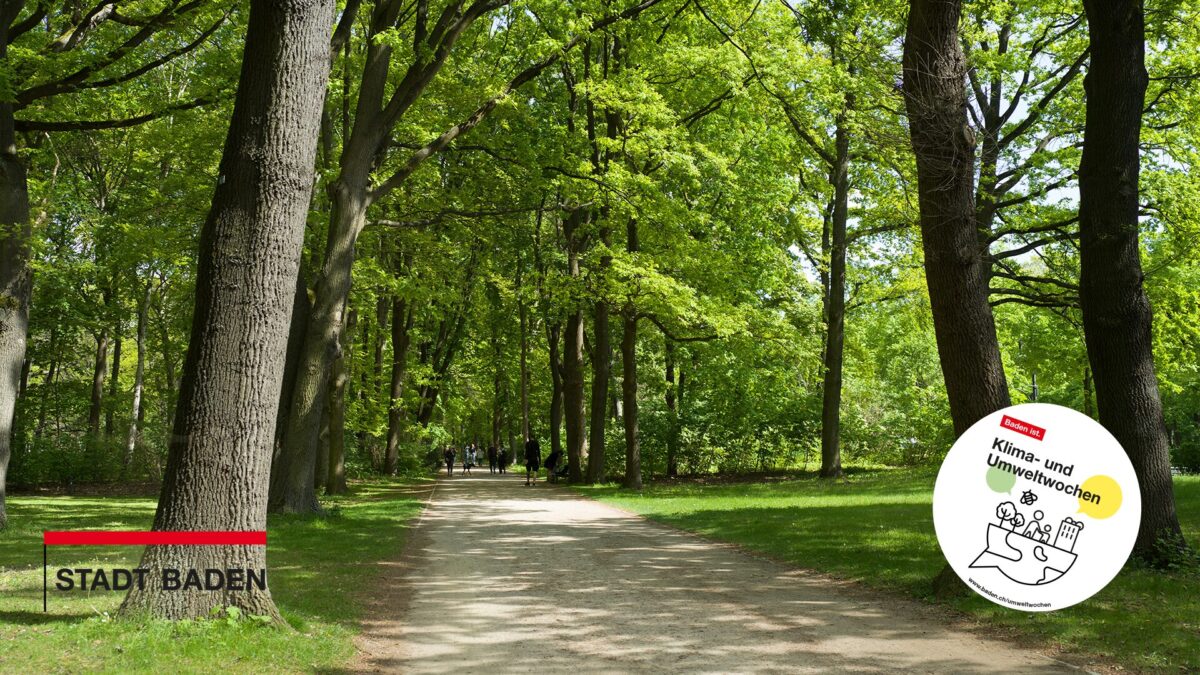 Bäume unter der Lupe