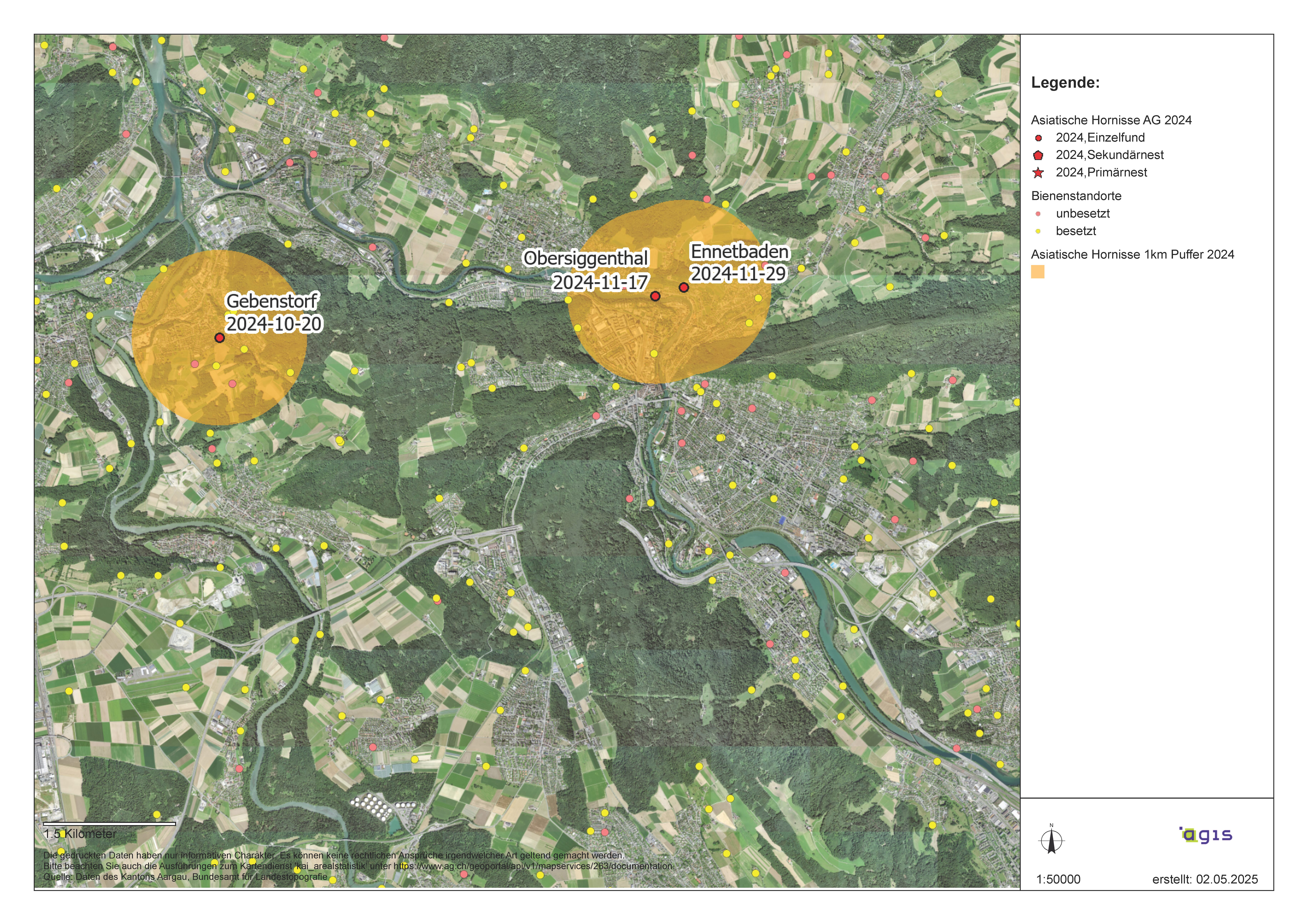 Beobachtungen AsiatischeHornisse