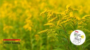 Einsatz für die Natur