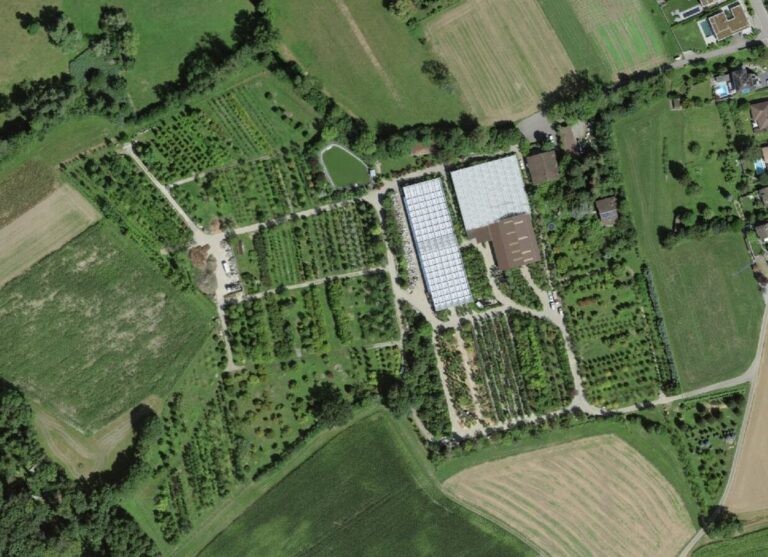 Screenshot 2025 05 09 143232