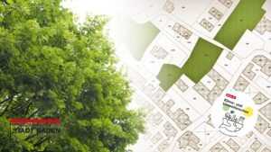 Wie werden Bäume in der Stadt geplant