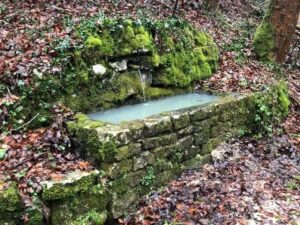 Brunnen STFA