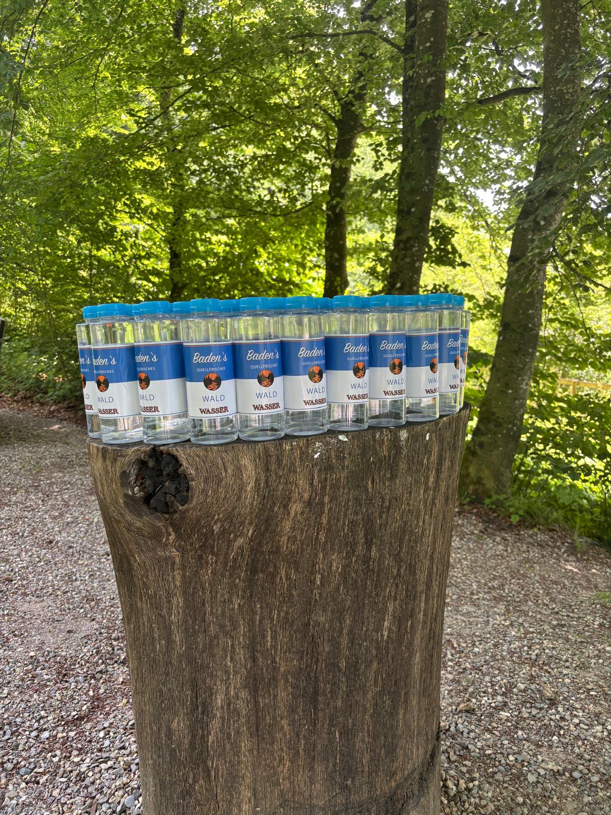 bed45c5a 0a5c 4a61 a62e a89e7ae28ee1