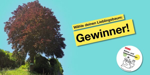 Lieblingsbaum Blog
