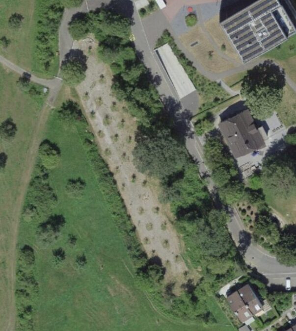 Screenshot 2025 07 21 134513 1