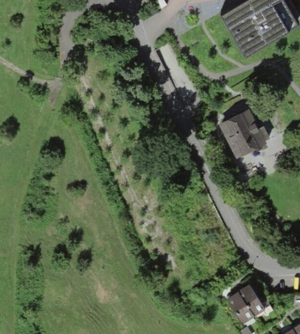 Screenshot 2025 07 21 134545 2